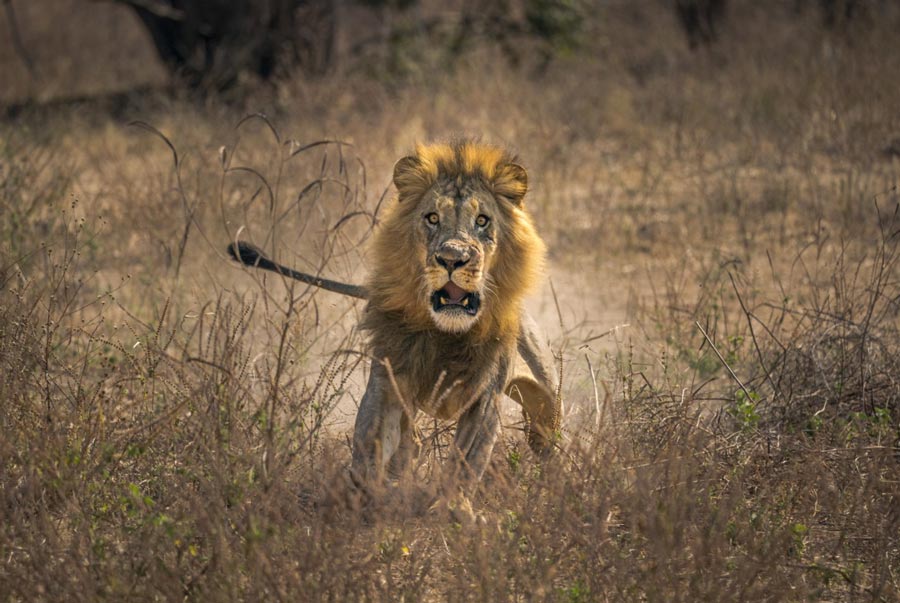 Finalista Sony Fotografia de Naturaleza 2