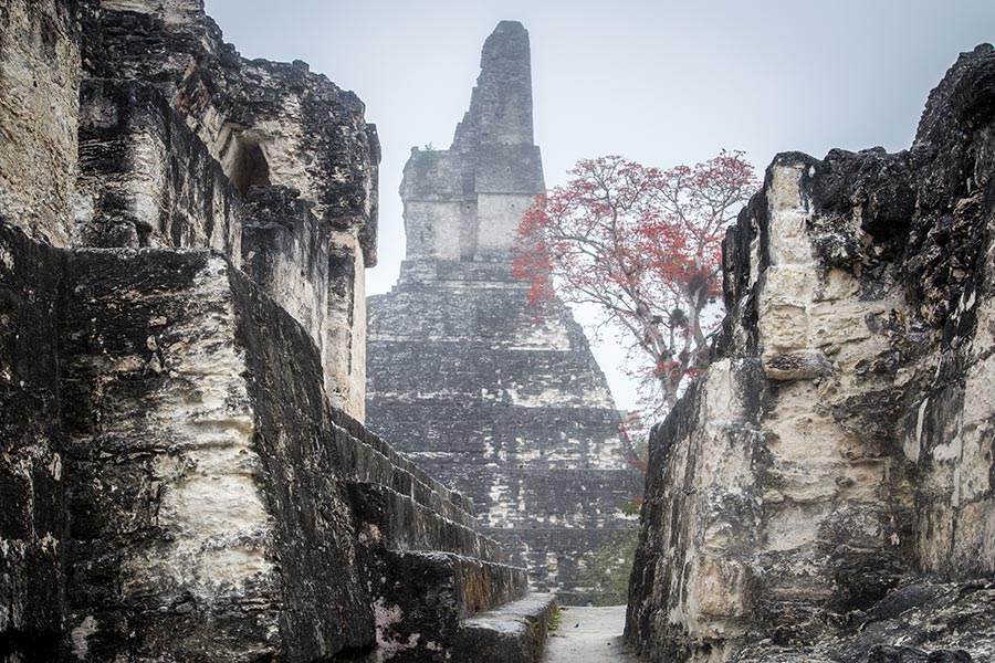 Ruinas-Tikal-Guatemala-Paisaje-Nacho-Marlats
