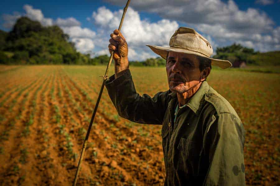 Viaje Fotográfico Cuba Viñales Retrato Guajiro Campesino Nacho Marlats Fotografía de Viajes