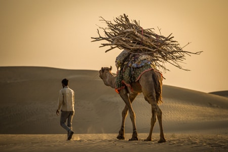 Viaje Fotografico grupal India con Nacho Marlats tour en camello en desierto de thar jaisalmer Los Fotonautas