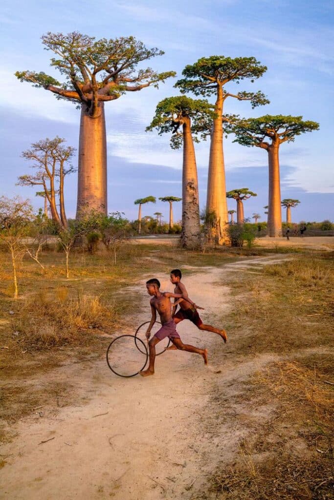 baobabs madagasgar steve mccurry